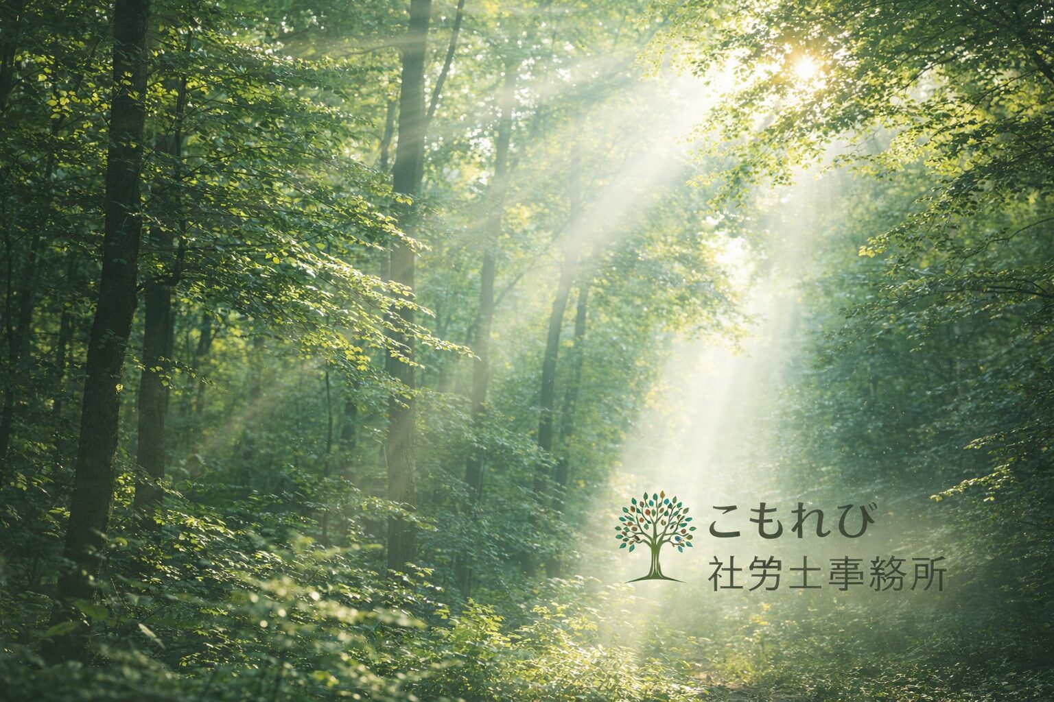 木漏れ日が差し込む森の風景と、こもれび社労士事務所のロゴ