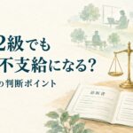 障害年金で目安2級でも3級・不支給となる場合の判断ポイントを表現した水彩画風イラスト